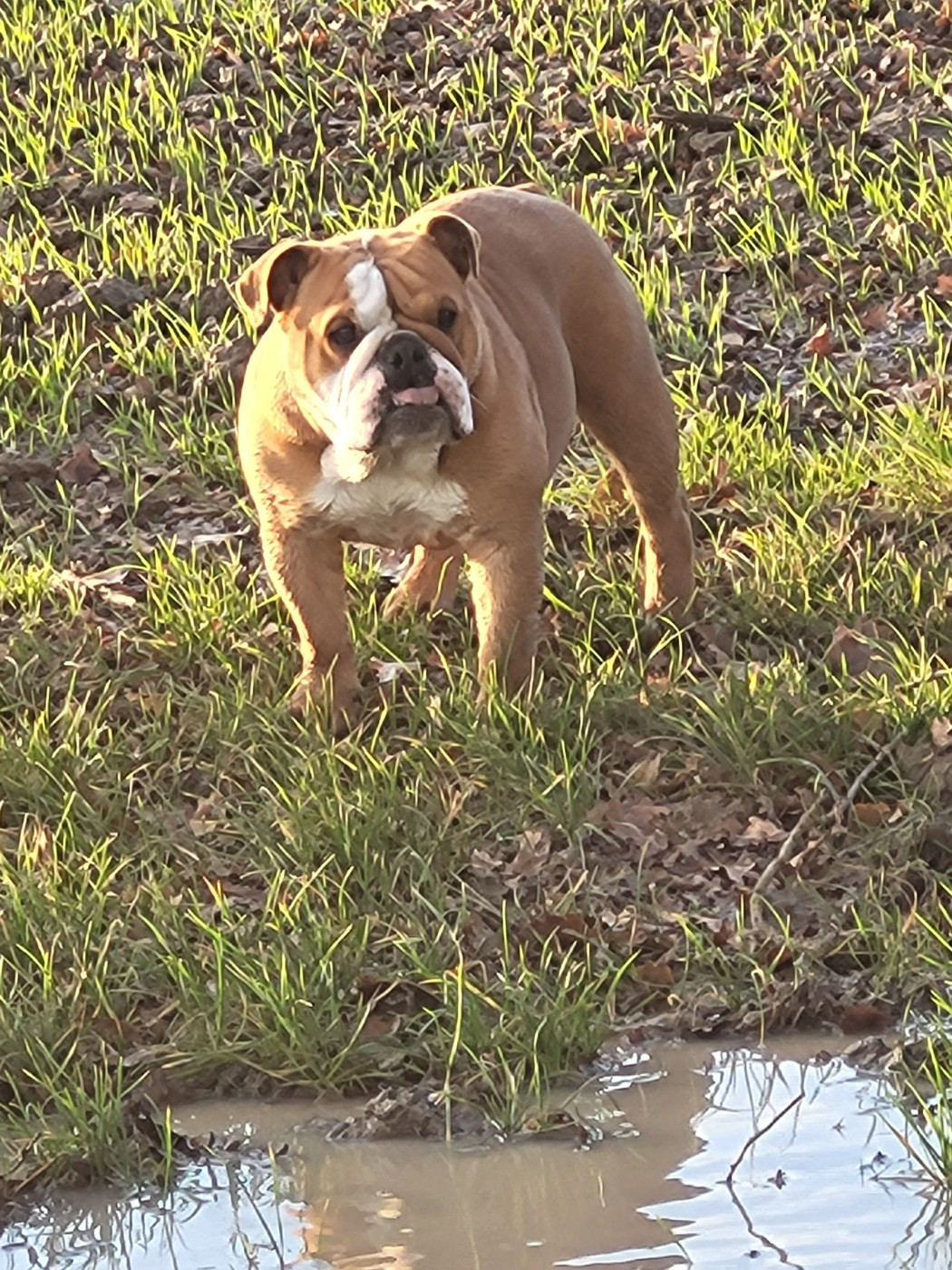 Uinona Ryder Des éclats De Cassiopée